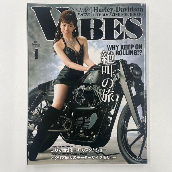 【VIBES (バイブス) 】2014年 01月号 Vol.243 ハル ハーレーダビッドソン