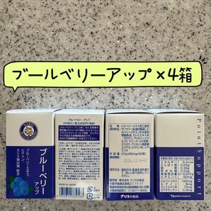 。ナリス化粧品 ナリスブルーベリーアップ×4箱