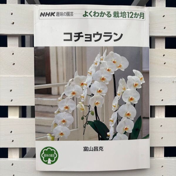 コチョウラン (NHK趣味の園芸 よくわかる栽培12か月) 富山昌克/著