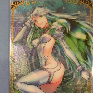 FGOウエハース13 fate grand order