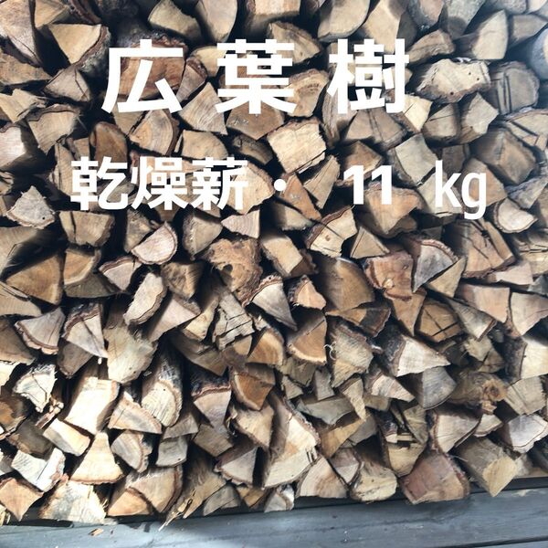 キャンプ・焚き火 乾燥薪 11kg 広葉樹・バラ