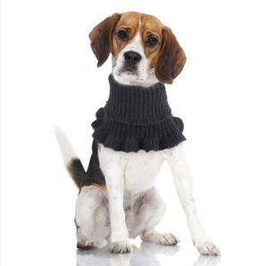 迅速発送!カラー ブラック ネックウォーマー マフラー 腹巻にも シンプル シニア犬にも 寒い時期の首元や、お腹を温める アイテム