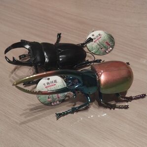 生物図鑑 リアル カブト クワガタ ヘラクレス