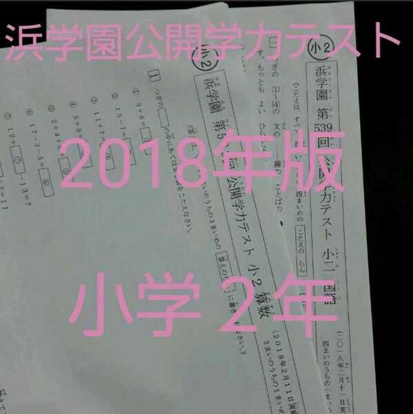 浜学園公開学力テスト 2018年版 小2 中学受験 難関 最難関 テキスト