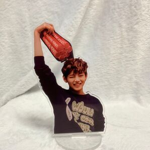 BTS V テテ アクリルスタンド 12cm