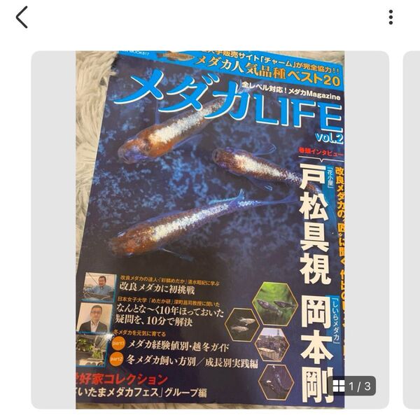 メダカLIFE vol.2