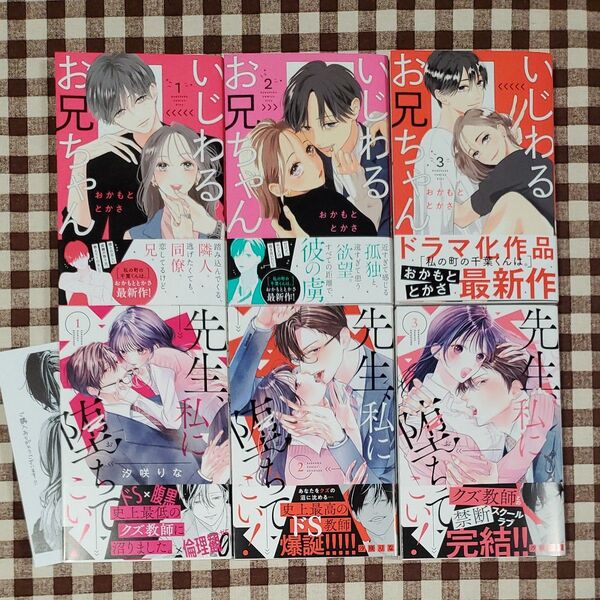 いじわるお兄ちゃん 先生、私に堕ちてこい!