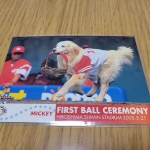 始球式ミッキー