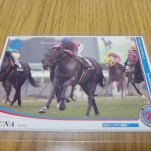 競馬 カードキズナ
