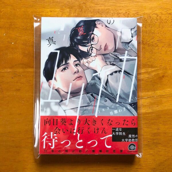 真夏のユリイカ 吾瀬わぎもこ 新品未読 初版