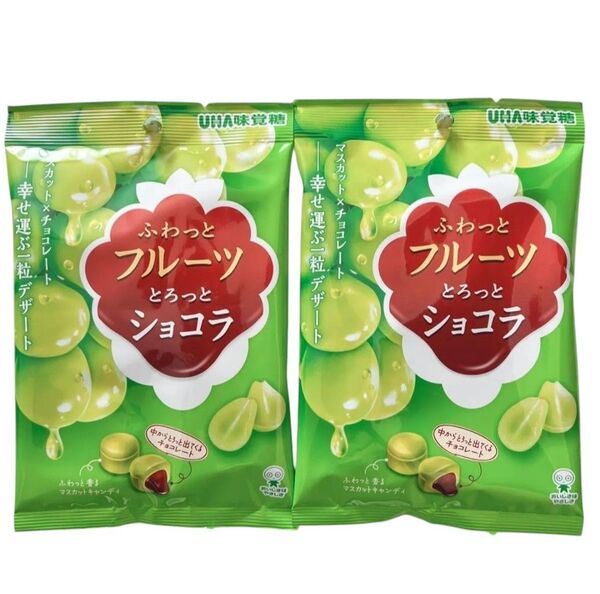 販路限定 数量限定 ふわっとフルーツとろっとショコラ 2袋セットマスカット