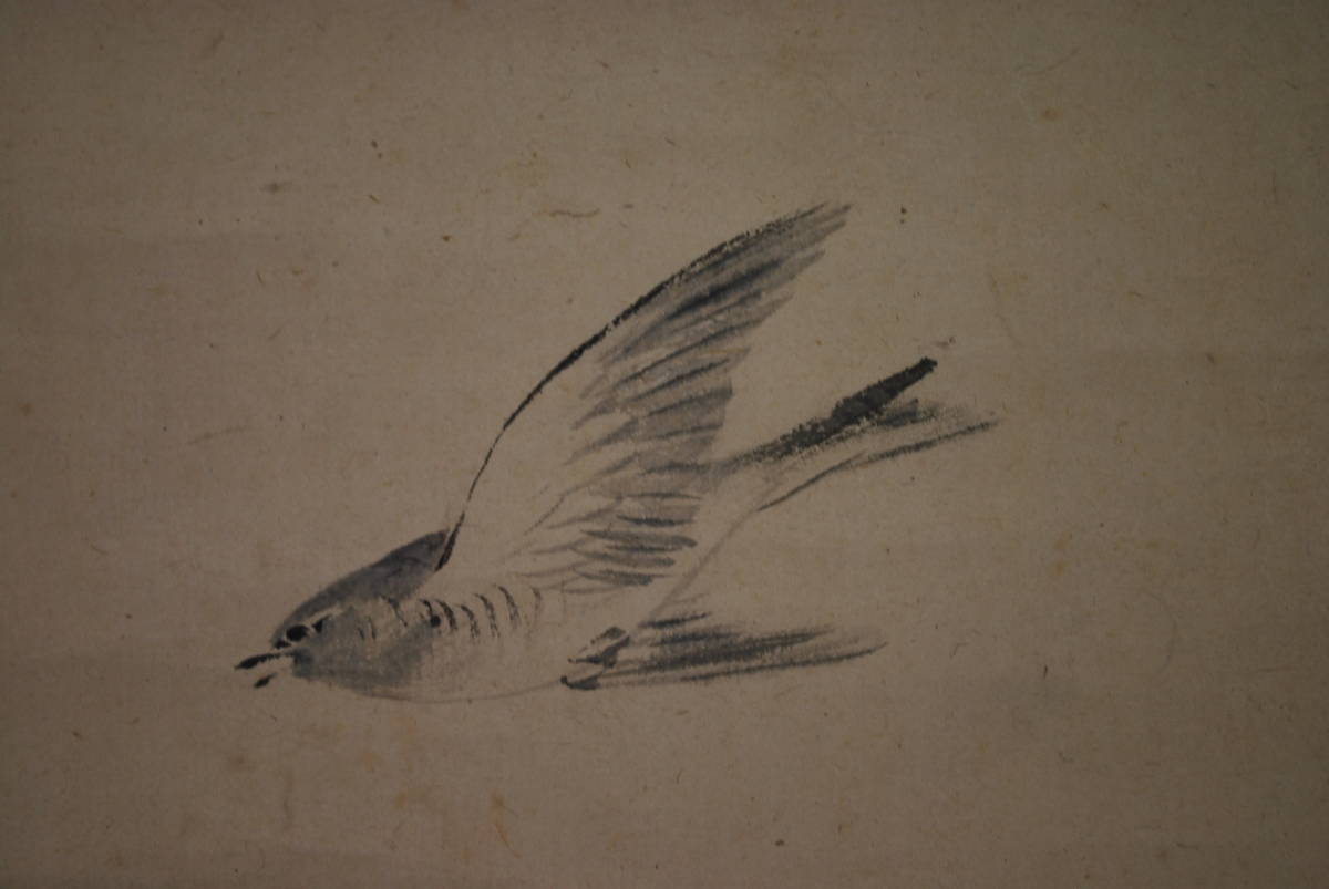 [Authentic work] Kansai Mori/Hototogisu on the waves/hanging scroll☆Treasure ship☆U-683 J, painting, Japanese painting, flowers and birds, birds and beasts