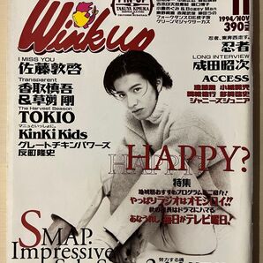 Wink up 1994年11月号