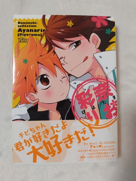 同人誌セレクション 彩奈りお 及日 ハイキュー