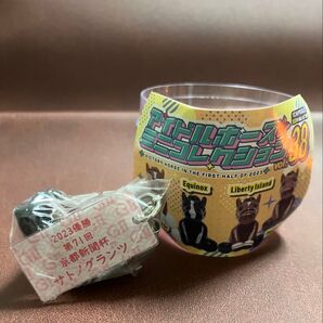 アイドルホース サトノグランツ