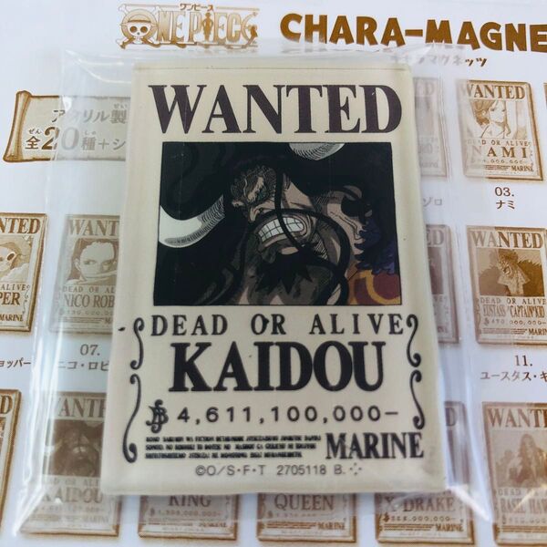 ワンピース キャラマグネッツ カイドウ