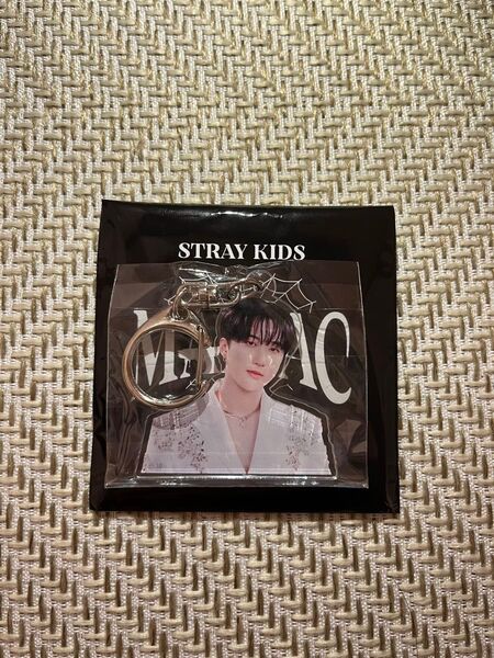 Stray Kids チャンビン ランダムアクリルキーホルダー