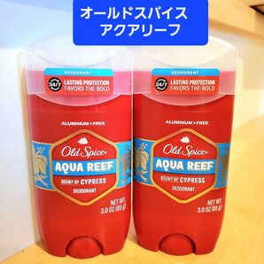 オールドスパイス Old Spice アクアリーフ デオドラントスティック ブルースティック 制汗剤
