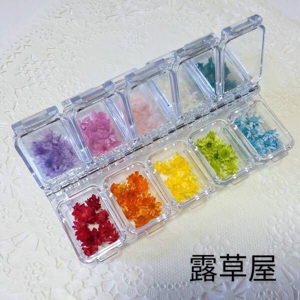 ●送料無料 シンプル花材セット スターフラワーミニ マルセラ 10色 100個 ケース入り ●6