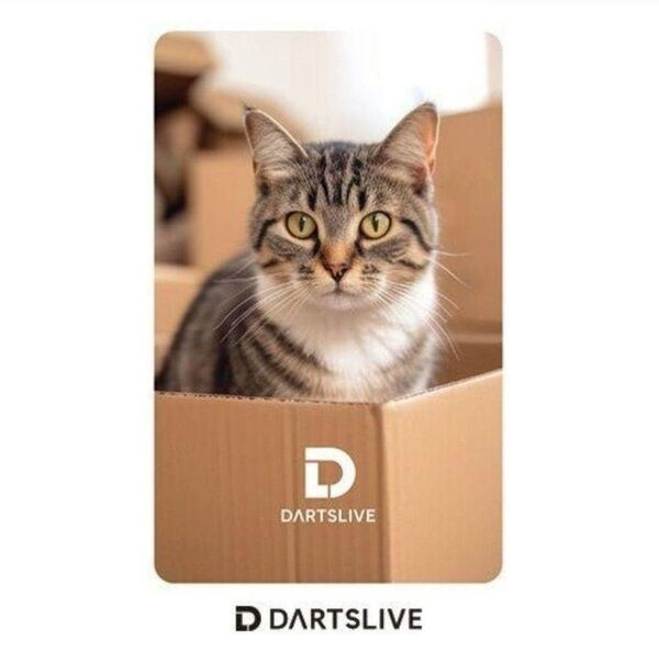 【廃盤品】ダーツライブカード レア DARTSLIVE 猫 ネコ ダーツ祭り【1】12