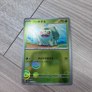 ポケモンカード フシギダネ