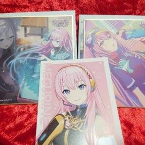 プロセカ 巡音ルカ ミニ色紙 アニメイト特典 ニーゴ