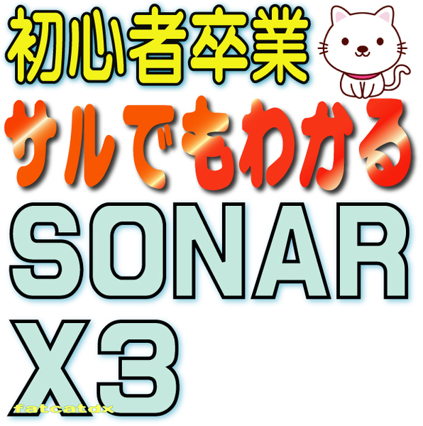 ♪♪ サルでもわかるSONAR X3 (送料無料 Cakewalk DAW DTM 音楽作成 サンプルあり 動画解説 講座)