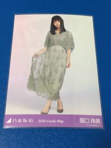 ★即決★ 乃木坂46 生写真 阪口珠美 ヒキ Lucky Bag 福袋 2020 検索) 夜明けまで強がらなくてもいい 公式グッズ 限定 期生