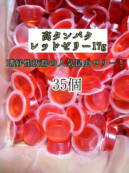 高タンパク レッドゼリー17g 35個 クワガタ カブトムシ オオクワガタ フクロモモンガ ハムスター フクロモモンガ 小動物 クワカブ