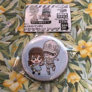 送料無 白血球(好中球)&血小板 はたらく細胞 あそーと C賞 缶バッジ ガシャポンくじ/白血球/血小板/マクロファージ/赤血球/キラーT細胞