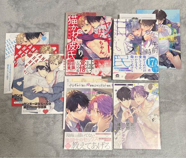 鮭田ねね 3冊セット アニメイト とらのあな 小冊子 リーフレット ペーパー 特典