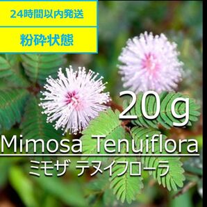 【無農薬】天然染料 ミモザ 粉砕20g
