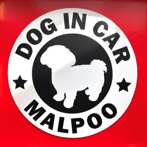 犬(マルプー)マグネット ステッカー 防水 車用【匿名配送】