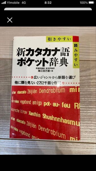 新カタカナ語ポケット辞典 引きやすい読みやすい