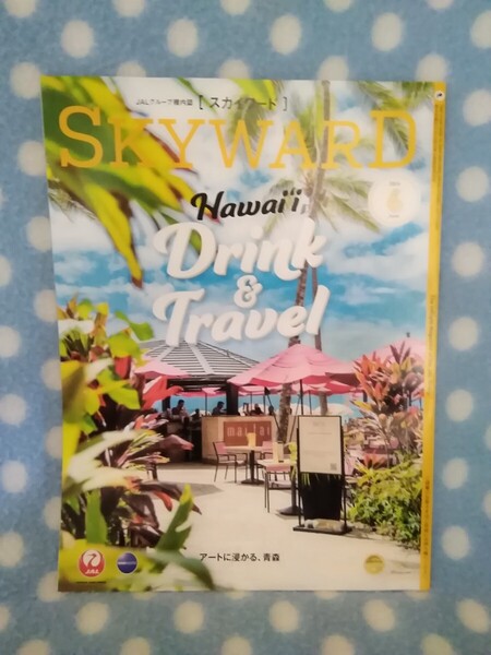 p④【中古】JAL SKYWARD スカイワード 2024年6月 痛みあり