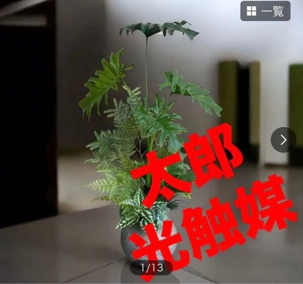 光触媒 人工観葉植物 ウォールグリーン フェイクグリーン モンステラ スプリットアレンジ10