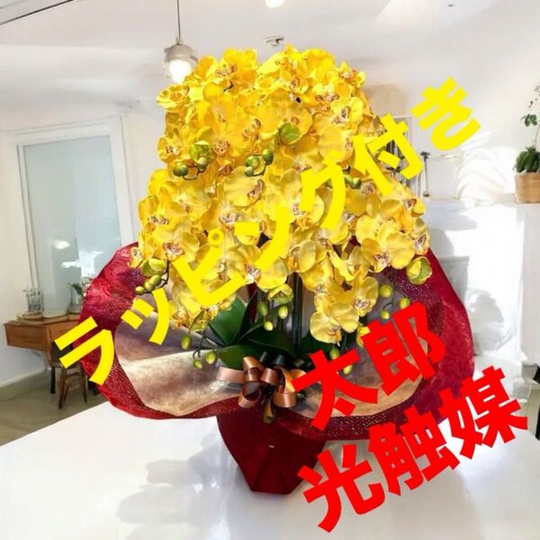 光触媒 人工観葉植物 ウォールグリーン フェイクグリーン 胡蝶蘭8本y