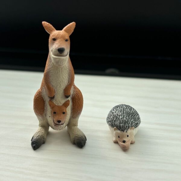 シャクレルプラネット