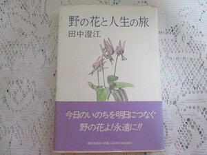 ☆野の花と人生の旅　田中澄江☆