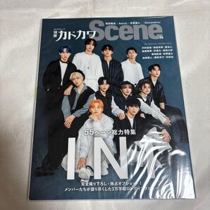 別冊カドカワScene 10