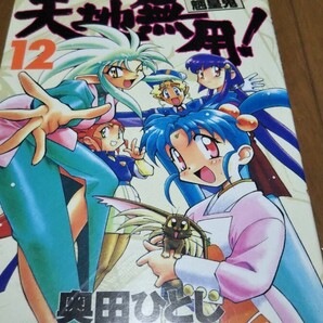 【完結、全12巻】 天地無用 魎皇鬼 奥田ひとし 全巻セット 魎呼 砂沙美 阿重霞
