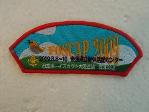 ボーイスカウト 鳥 日本連盟 大阪 2009 スカウト章 刺繍 ワッペン/ガールスカウト カスタム USA ビンテージ v46