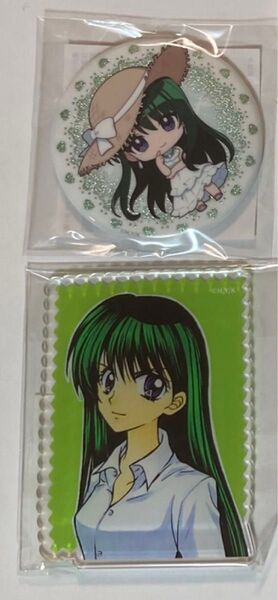 ぴちぴちピッチ リナ 楽天 マグネット 缶バッジ セット