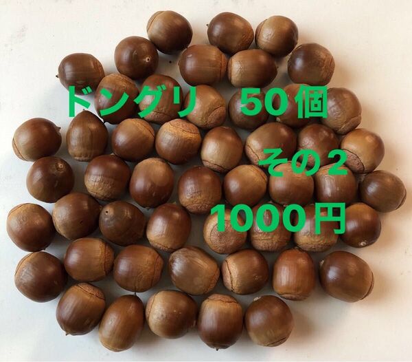 どんぐり 50個 サイズ縦2.0cm前後 クヌギ アベマキ 木の実 工作 手芸 リース 煮沸処理済み 自然乾燥 その2