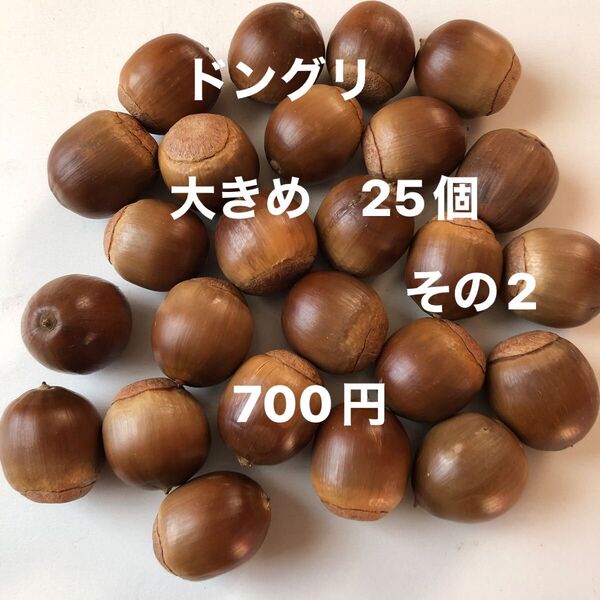 どんぐり 大きめ 25個 サイズ縦2.0cm前後 クヌギ アベマキ 木の実 工作 手芸 リース 煮沸処理済み 自然乾燥 その2