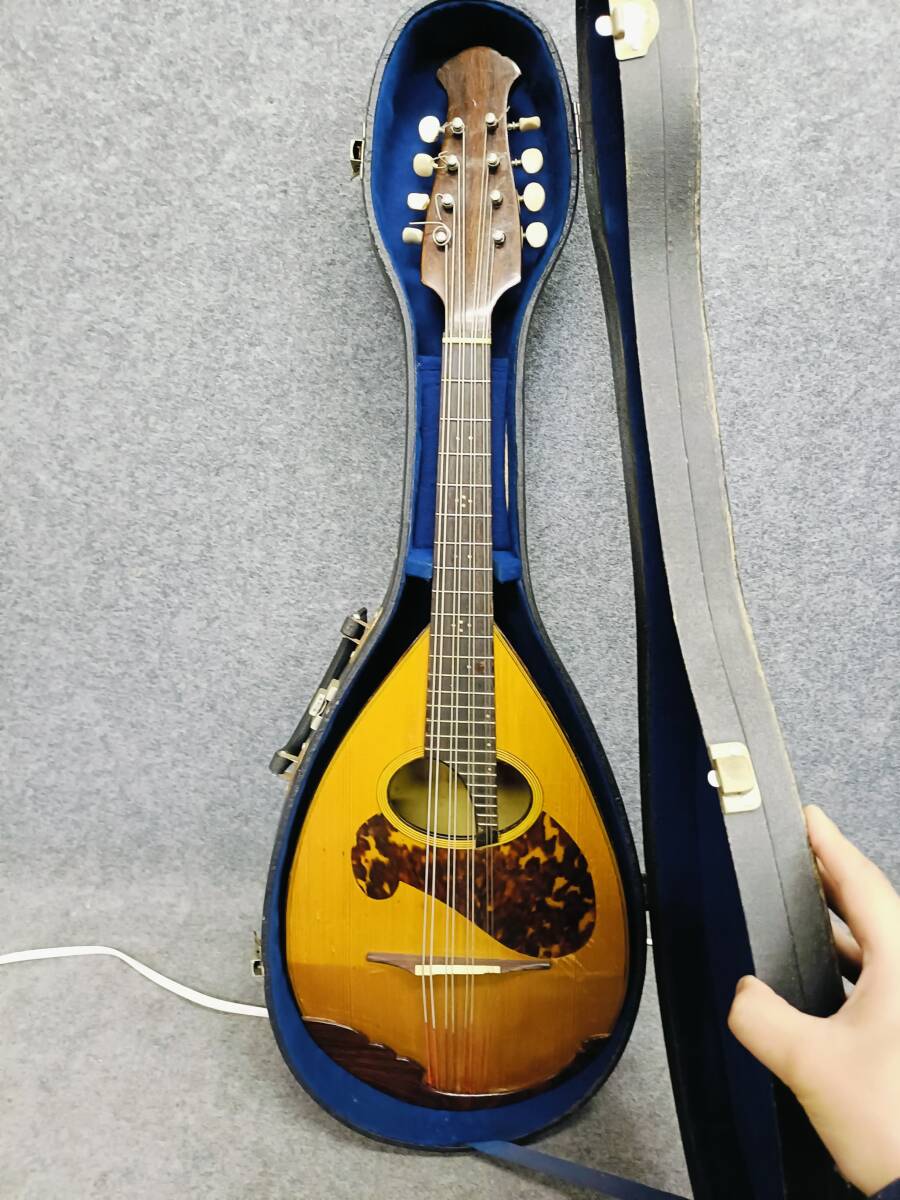 Yahoo!オークション -「マンドラ」(マンドリン) (弦楽器)の落札 Yahoo!オークション -「マンドラ」(マンドリン) (弦楽器)の落札