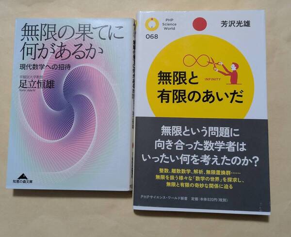 【即決・送料込】無限の果てに何があるか + 無限と有限のあいだ 2冊セット