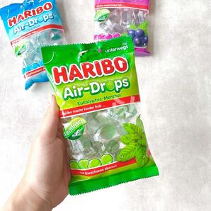 HARIBO【日本未販売】eukalyptus-menthol 100g ユーカリ 爽やかグミ ハリボーグミ スッキリ