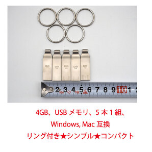 ★Windows★MAC★互換★FAT32フォーマット済み★USBメモリ★4GB★5本セット★シンプル★コンパクト★リング付き★メモ代わりちょうど★015