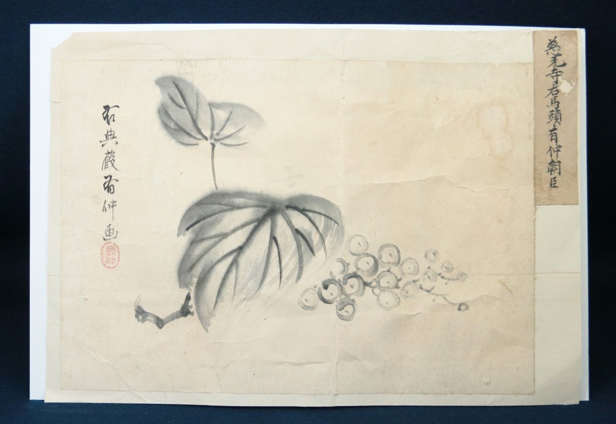 Yahoo!オークション -「ぶどう」(日本画) (絵画)の落札相場 Yahoo!オークション -「ぶどう」(日本画) (絵画)の落札相場